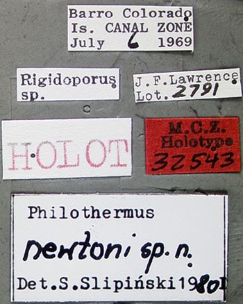 Media type: image;   Entomology 32543 Aspect: labels